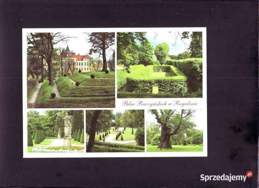 Kart Pocz Pałac Raczyńskich 2 śląskie Gliwice sprzedam