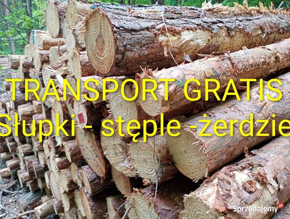 Stęple żerdzie słupki ogrodzeniowe Ludwikowice Kłodzkie