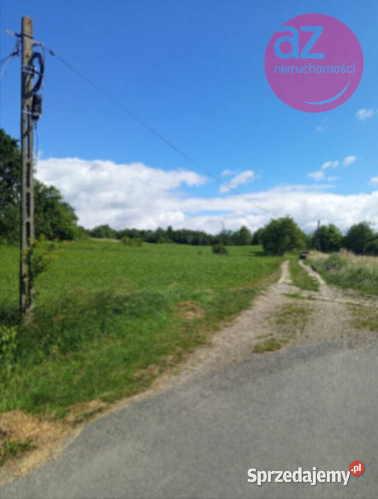 Działka budowlanorolna z lasem 261h w Łużnej
