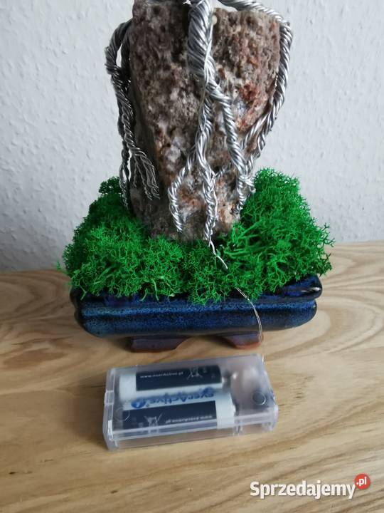 Fioletowe bonsai Doskonały prezent na święta 35 odcienie fioletowego dolnośląskie Bolesławiec