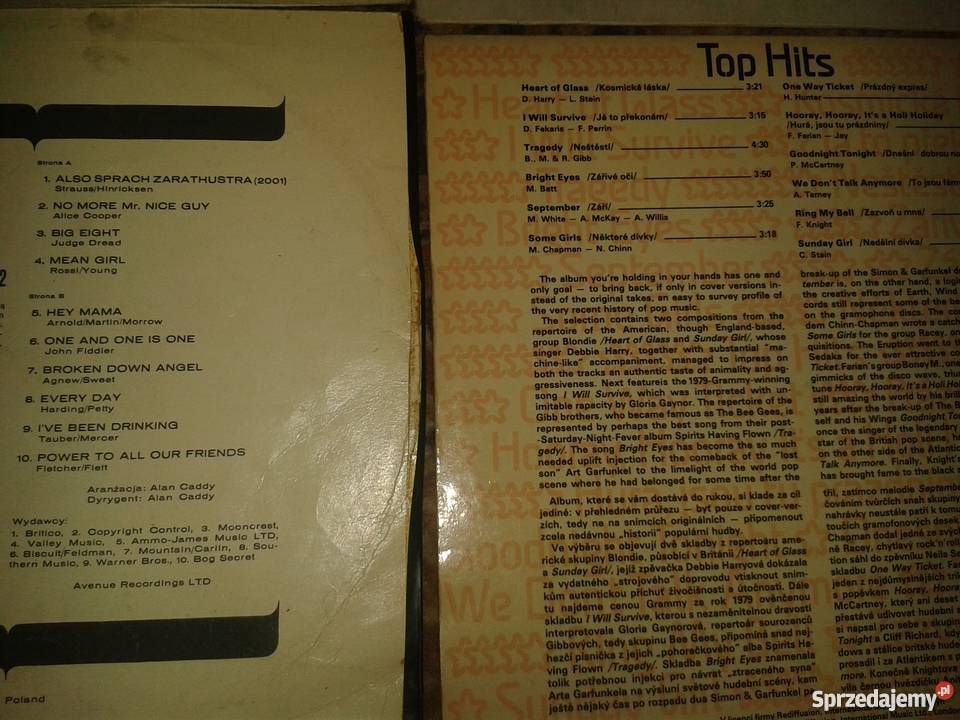 Winyl Syrius Band 80 stan inne różne 10 małopolskie Kraków sprzedam