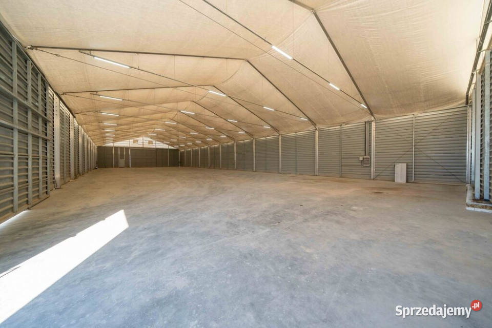 Turkowo Pow Nowotomyski Hala namiotowa 1150m2 wielkopolskie Nowy Tomyśl sprzedam