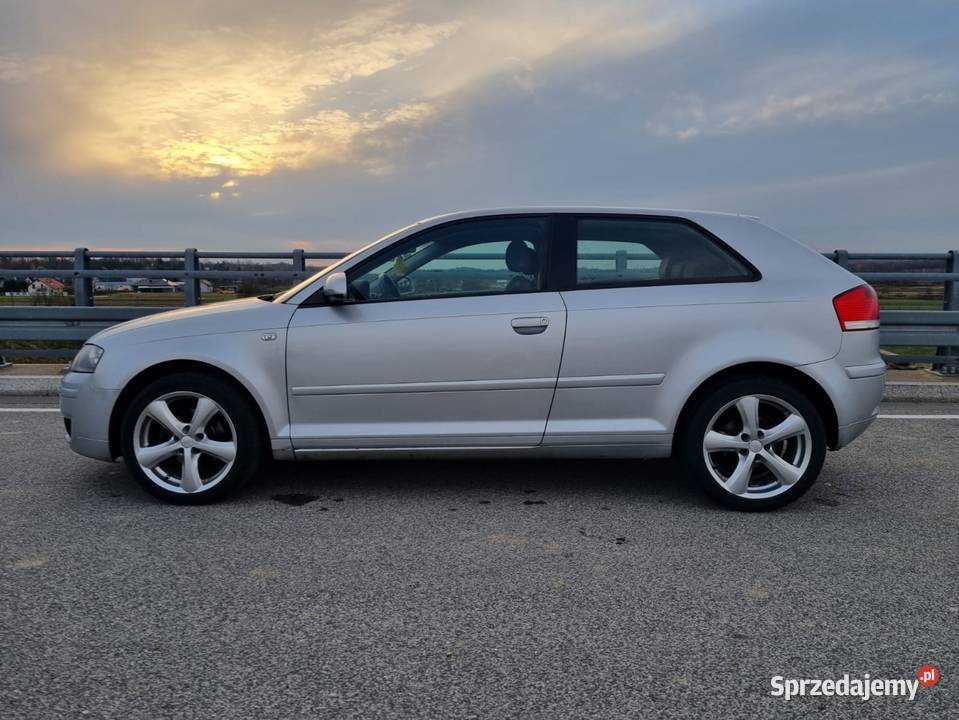 Audi A3 8P 19 TDI Tarnów