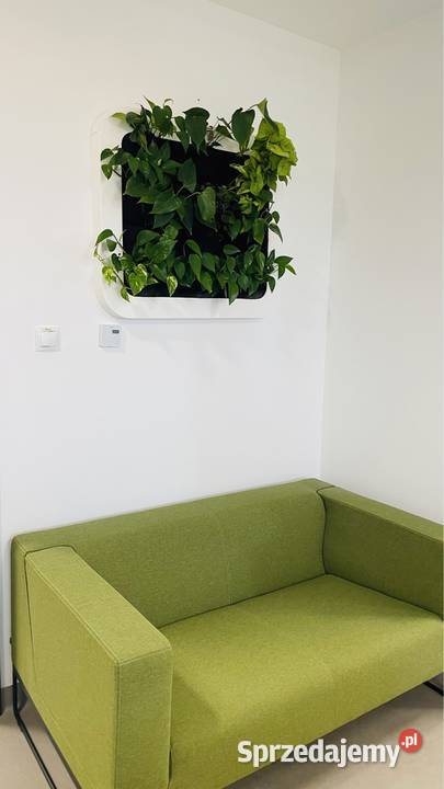 Wertykalny ogród 85x65 na ścianę Warszawa sprzedam