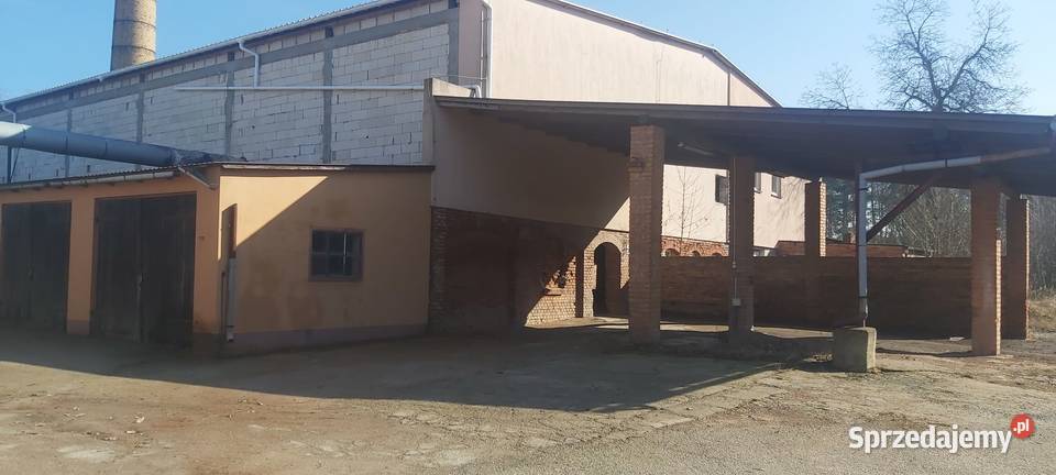 Zabudowa produkcyjno usługowo magazynowa Wioska