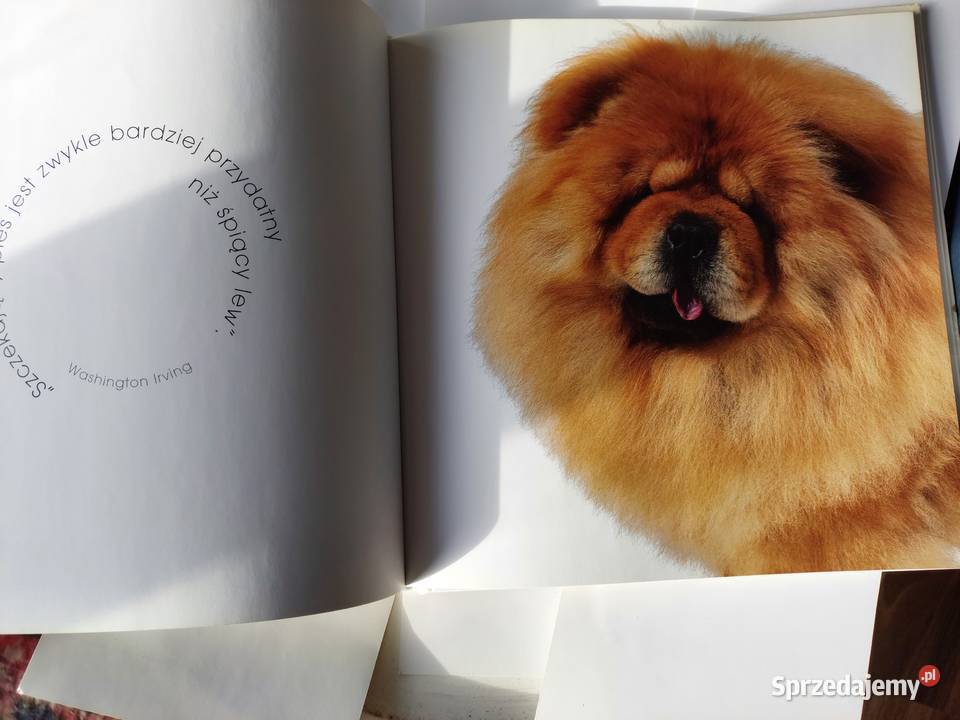 Książka Album Pieski Świat Wrocław