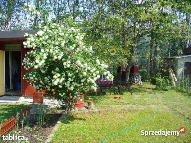 Działka rekreacyjna RODPestka 49zł/m2 Nowy Dwór Mazowiecki