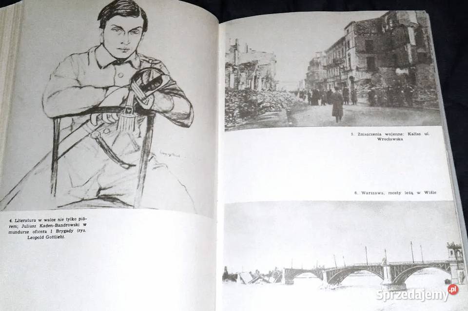 Z dziejów drugiej Rzeczypospolitej Olgierd lubelskie