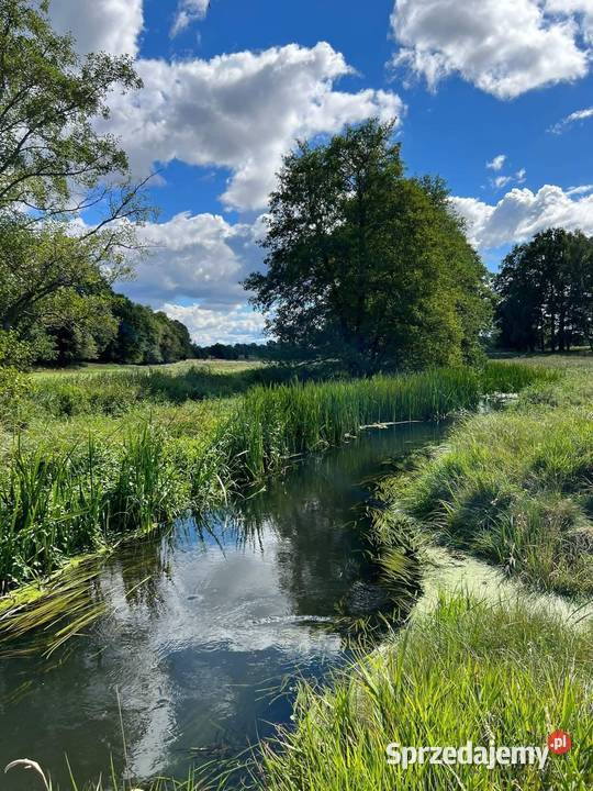 Działka z linią brzegową sprzedam