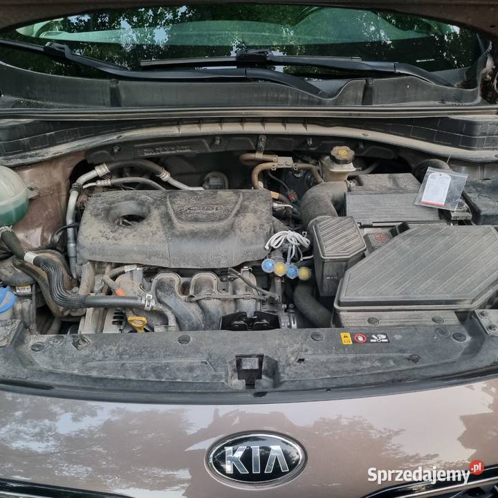 Kia Sportage 2020 Wrocław