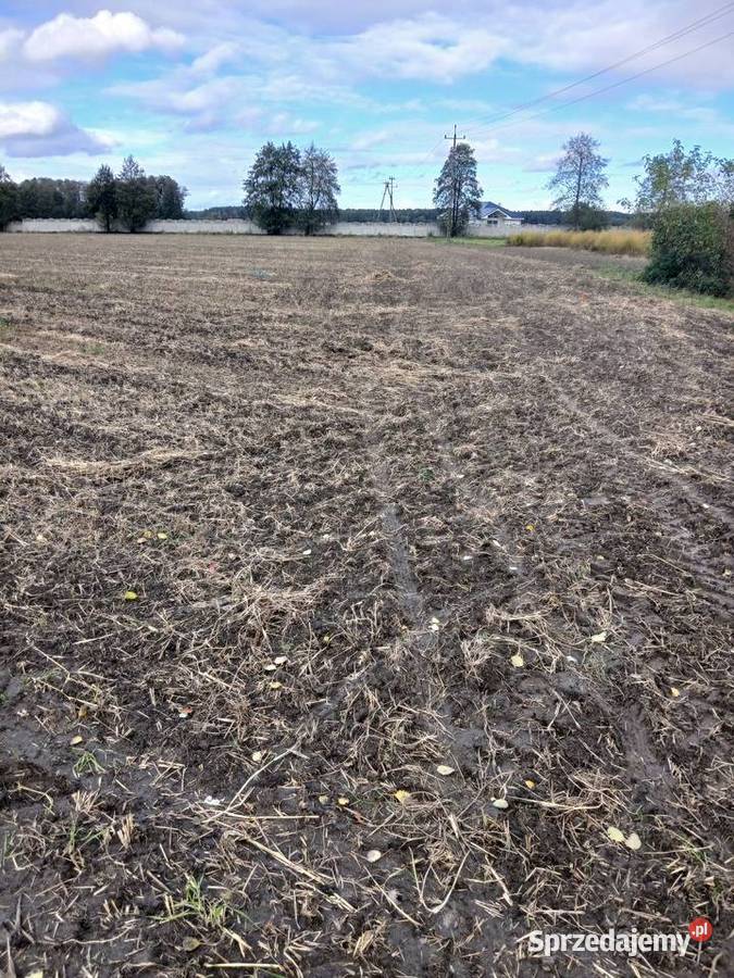 Sprzedam działki budowlane Kiełkowo