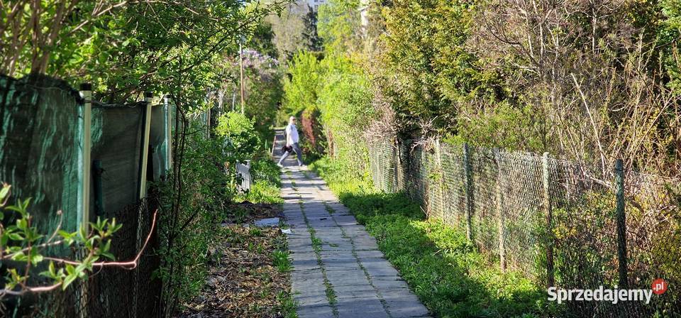 300 m zieleni na Mokotowie działka ROD z Warszawa