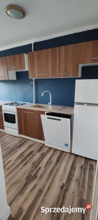 Do wynajęcia mieszkanie 2 pokoje z balkonem 49m2 balkon Katowice