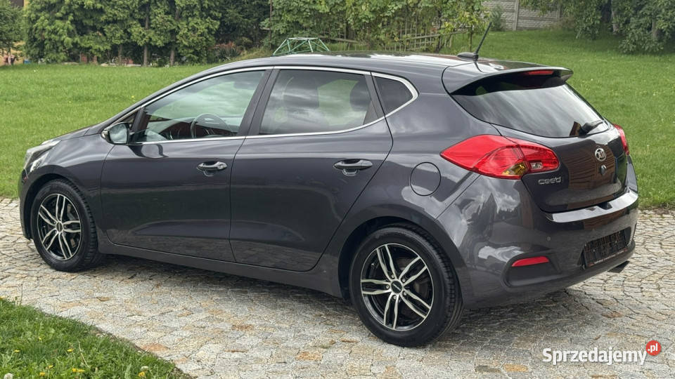 Kia Ceed 16 CRDI 110 z Niemiec Kamera cofania przyciemniane szyby Motoryzacja Strzegom