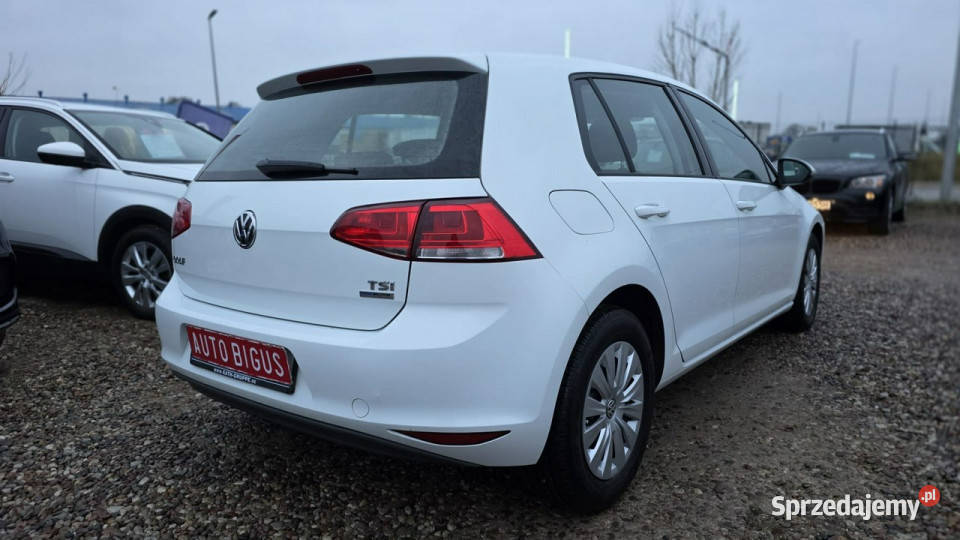Volkswagen Golf Mały Przebieg climatronic VII ABS Golf Lębork sprzedam