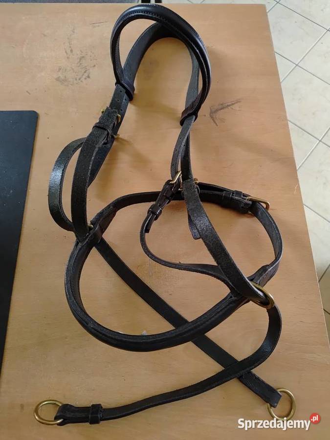 OGŁOWIE BEZWĘDZIDŁOWE CZARNE Kazanów