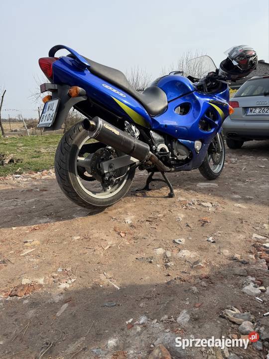Suzuki GSXF 600 2002 Teresin