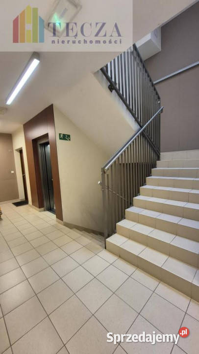 Mieszkanie Ząbki Powstańców 495m2 2pok