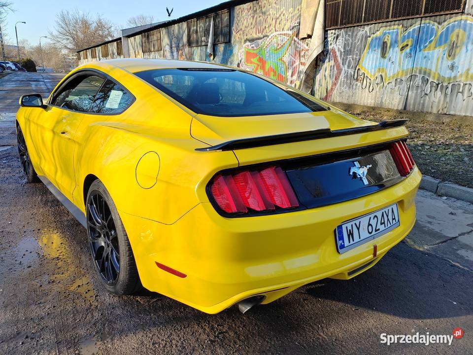 Ford mustang 37 Warszawa