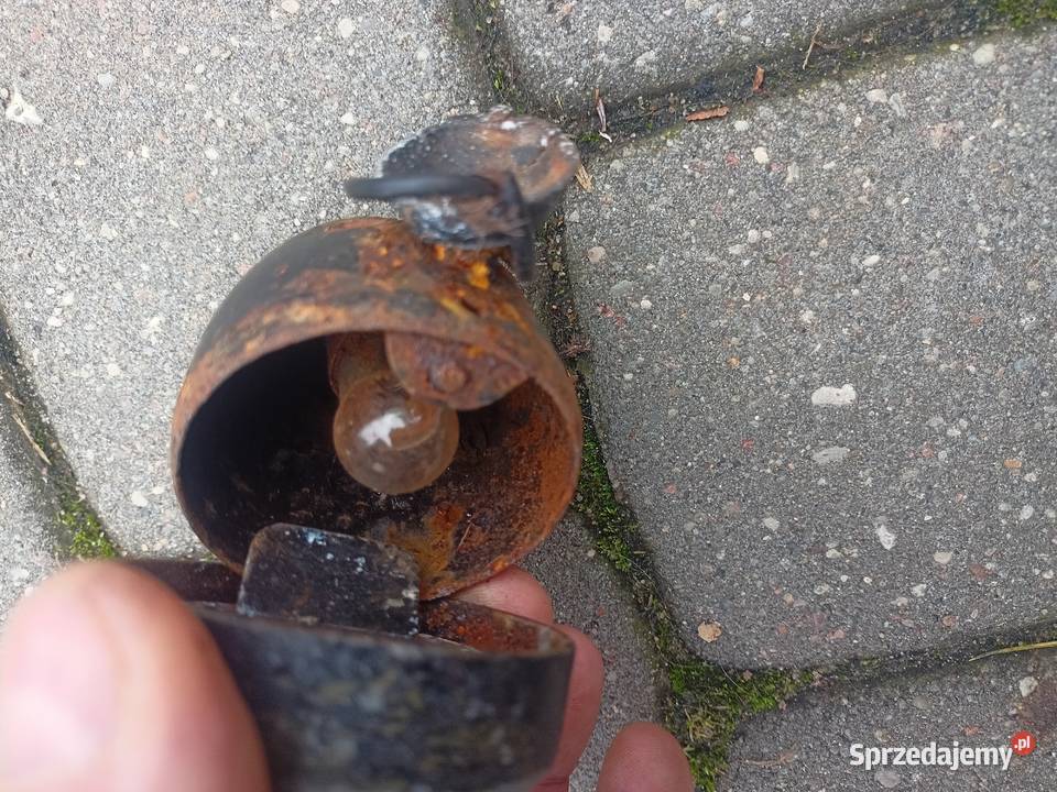 Willys MB Ford GPW notka Bydgoszcz