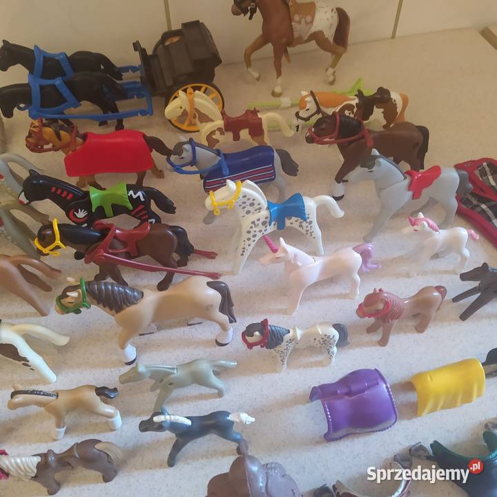 Figurki do zabawy Playmobil Gdańsk