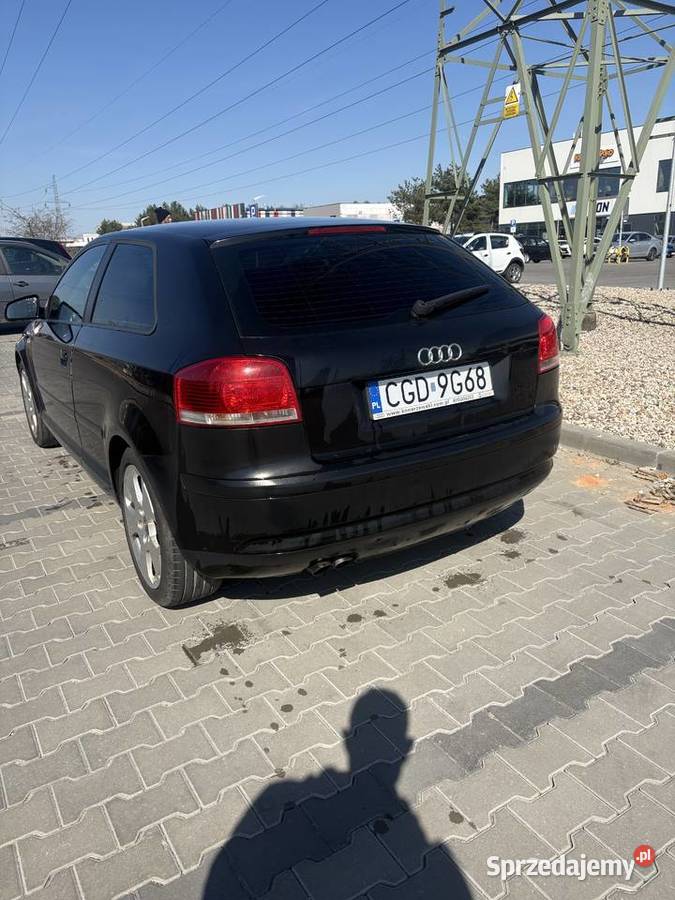 Audi A3 8P 20 TDI BMM Toruń