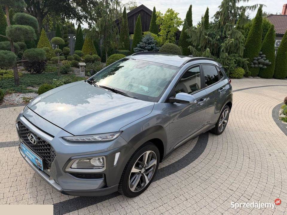 Hyundai Kona 16 TGDI DCT 4WD Premium 177 2019r Krotoszyn