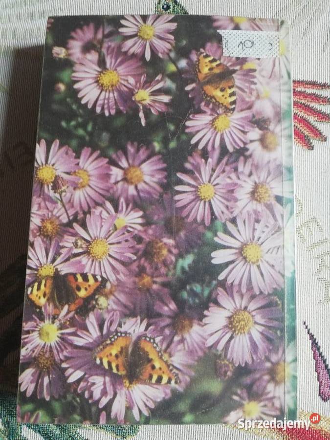 Kwiaty w ogródku Izabela Kiljańska Kraków sprzedam