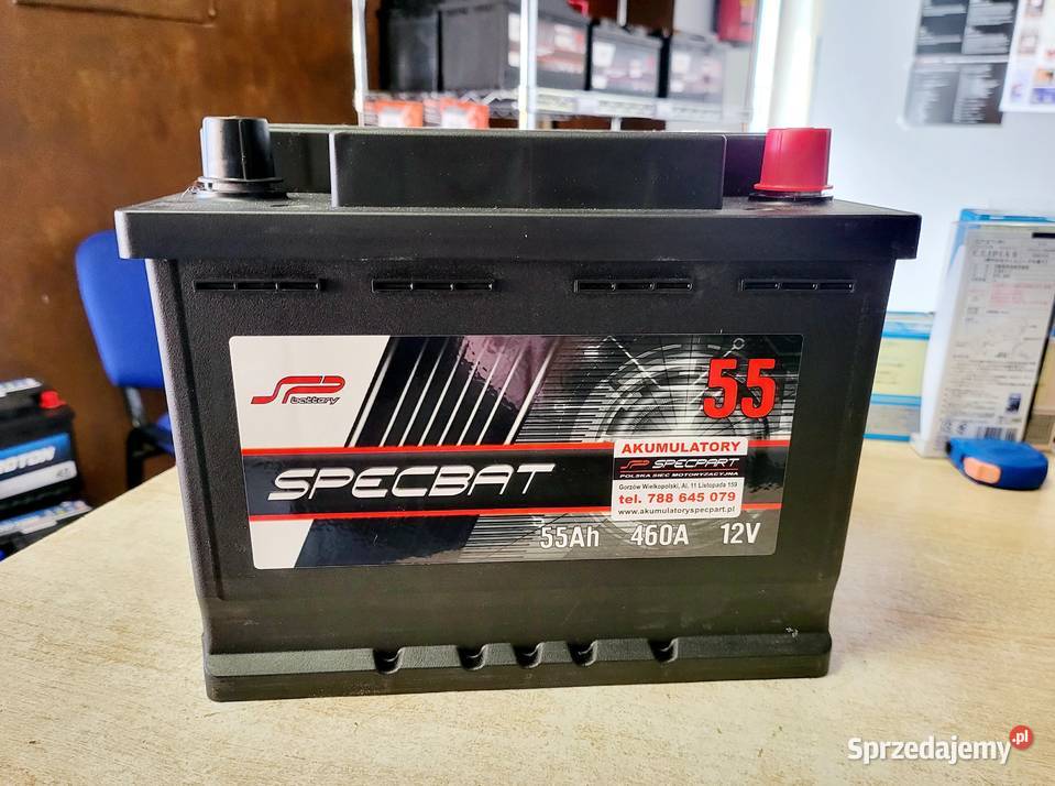 Akumulator SPECBAT 55Ah 460A EN PRAWY PLUS Gorzów Wielkopolski