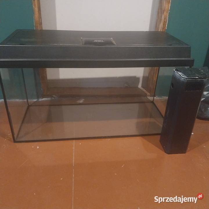 Akwarium Akwarystyka Chorzów