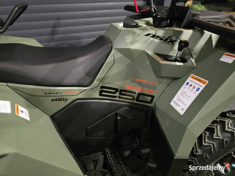 ASIX Inny ASIX CYBER 250 rrHIT na rynku HIT Motocykle, skutery, quady Stare Miasto