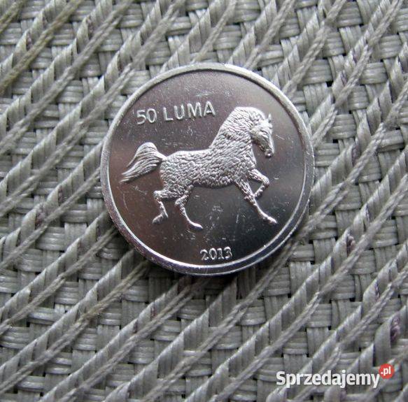 Górski Karabach 50 Luma 2013r Koń wielkopolskie Kalisz