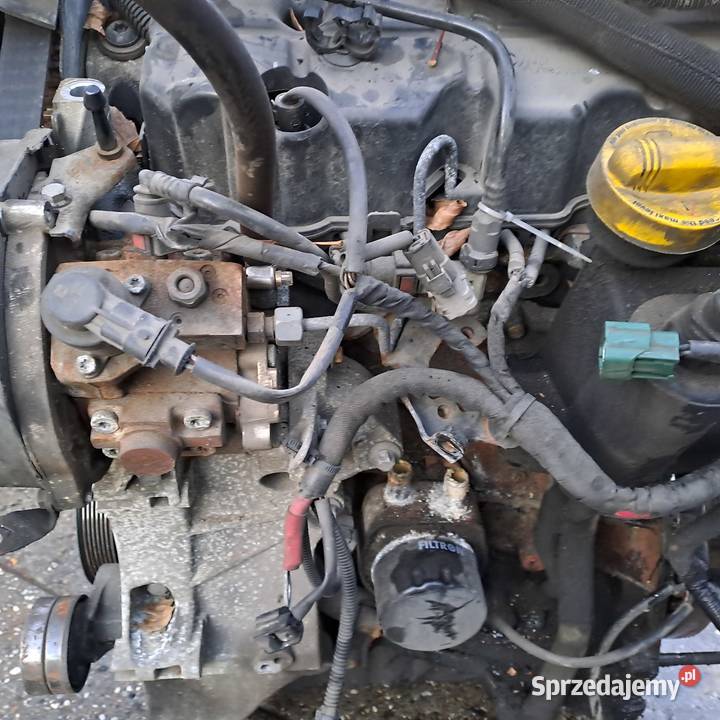 Renault Scenic III 19 DCi silnik kompletny kod Rok produkcji 2011 Jastrzębie-Zdrój