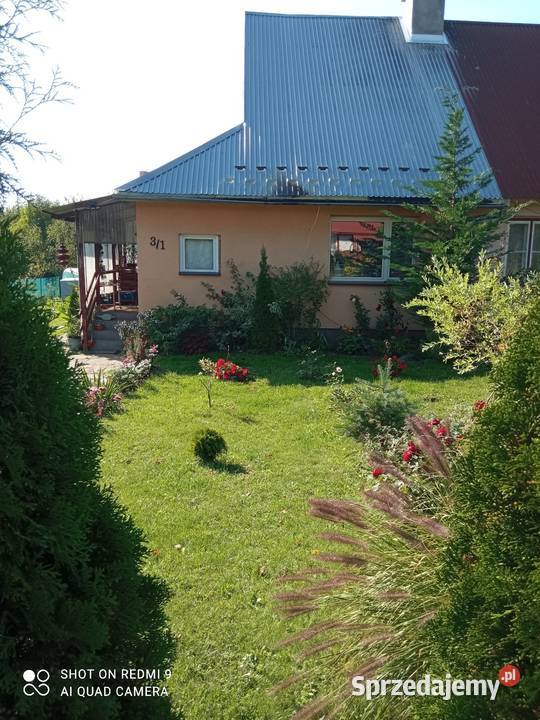 Blizniak siatka Jarosław