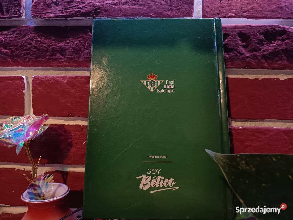 Real Betis Balompi Album Sezon 201819 kujawsko-pomorskie Bydgoszcz