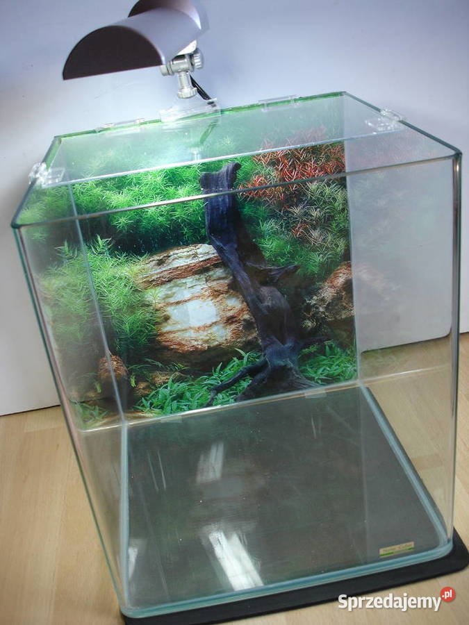 Akwarium 30L