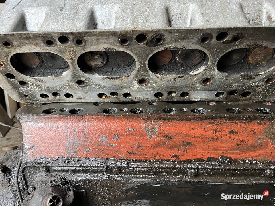 Głowica Żuk Studniska Dolne