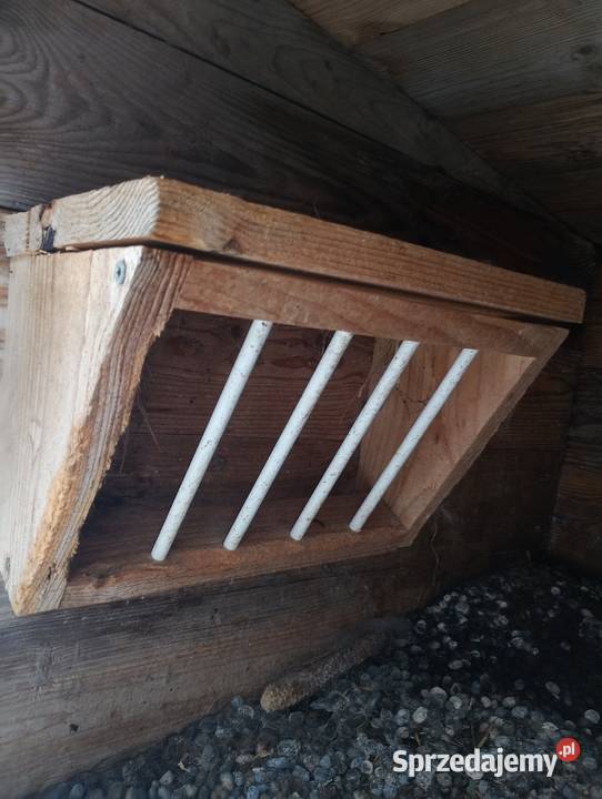 Klatka królika Frank