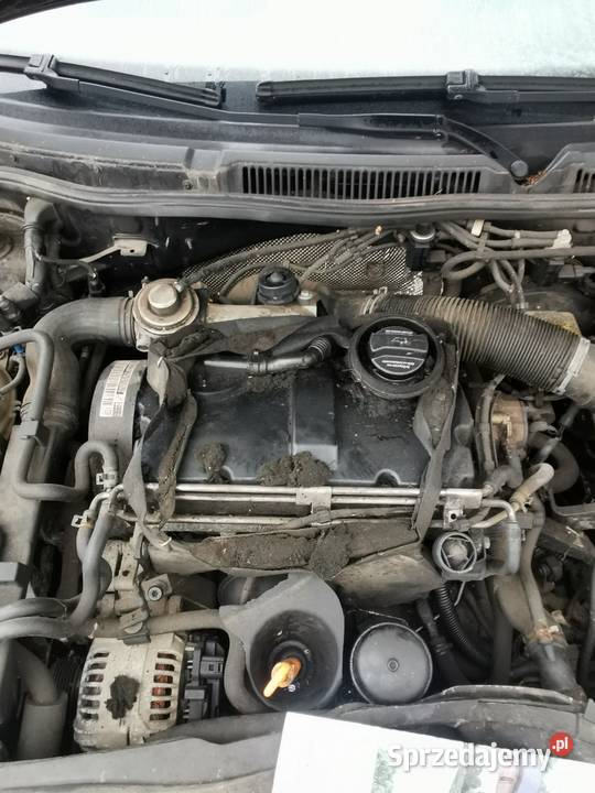 Silnik golf 4 19tdi 101 części nie passat Audi osobowe Sejny