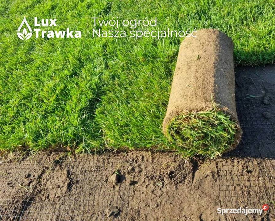 Trawa z rolki Trawa w rolce Przygotowanie Limanowa sprzedam
