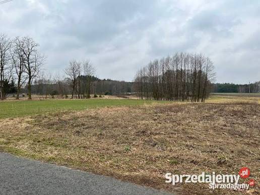 działka budowlana Zdzierczyzna gmina Sokolniki