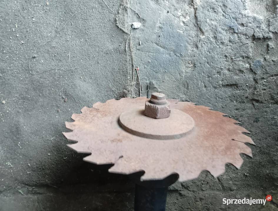 Wałek Trajzegi z Piłą DUŻY Rychtal sprzedam