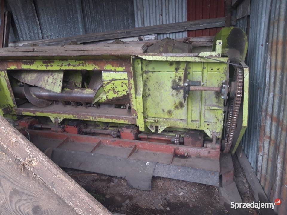 Przystawka do kukurydzy claas 5 rzędowa Leszno sprzedam