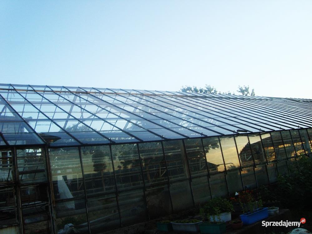 szklarnię do rozbiórki
