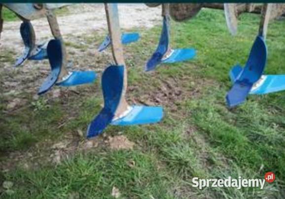 Gruber Mandam Kołaki Kościelne