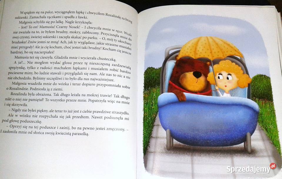 Pamiętnik Czarnego Noska Janina Porazińska Chełm