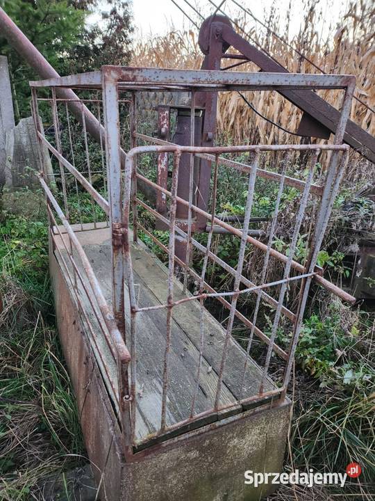 Klatka do wagi ważenia cieląt lubelskie Bychawa