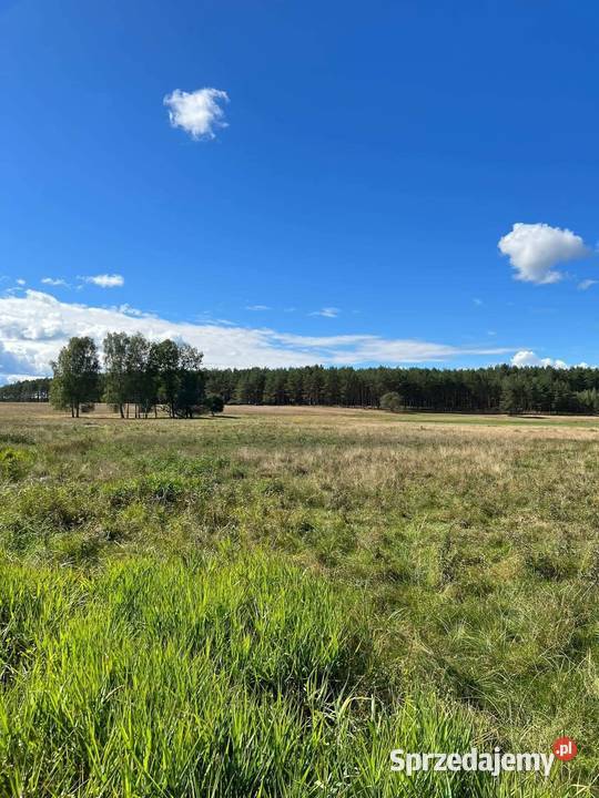 Działka z linią brzegową pomorskie Trzebielino