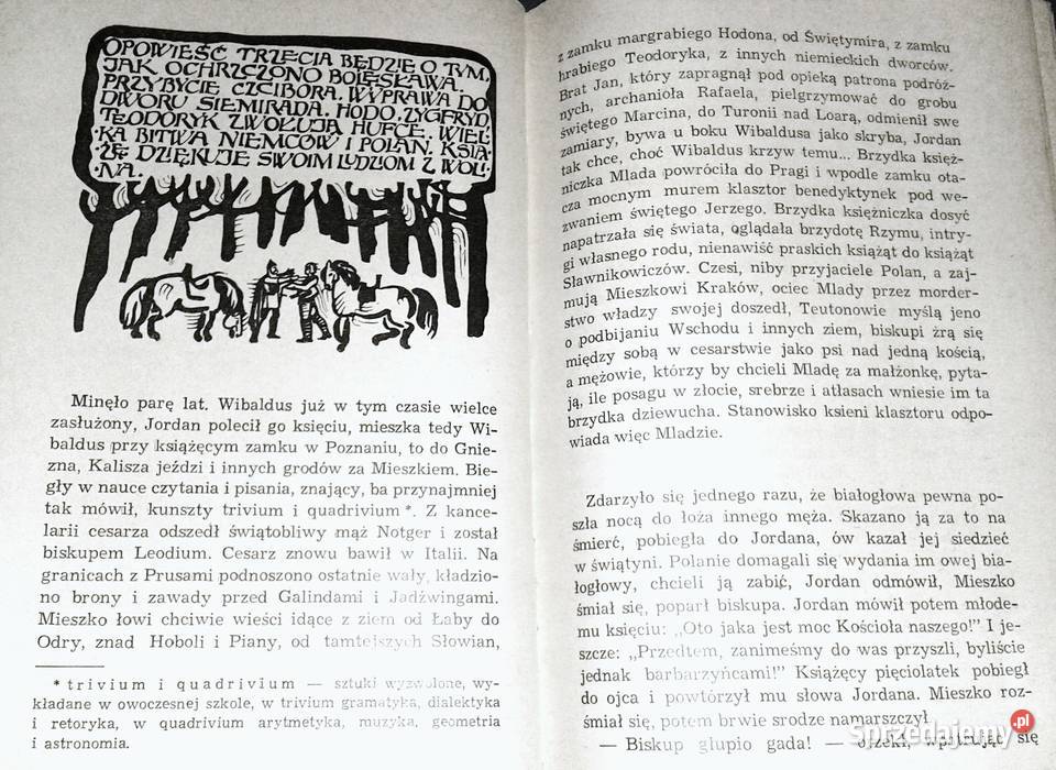 Wikingowie Jerzy Cepik Chełm