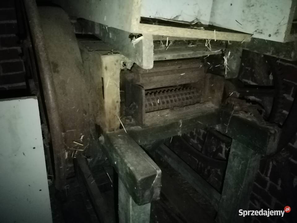 Sieczkarnia kukurydzy Ostrzeszów